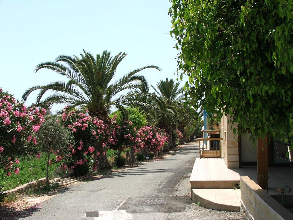 Paphos Dimma Seaside Houses מראה חיצוני תמונה
