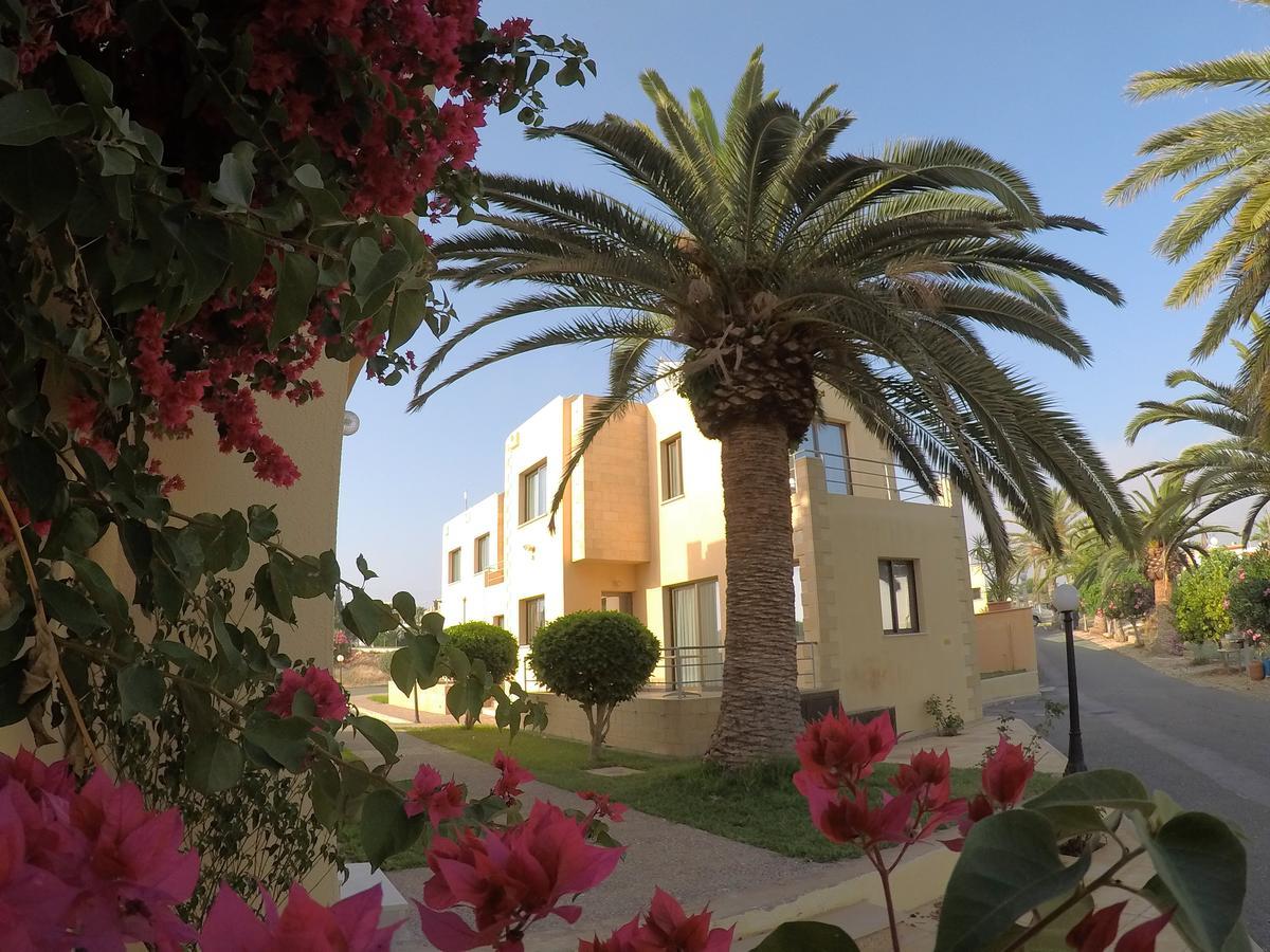 Paphos Dimma Seaside Houses מראה חיצוני תמונה