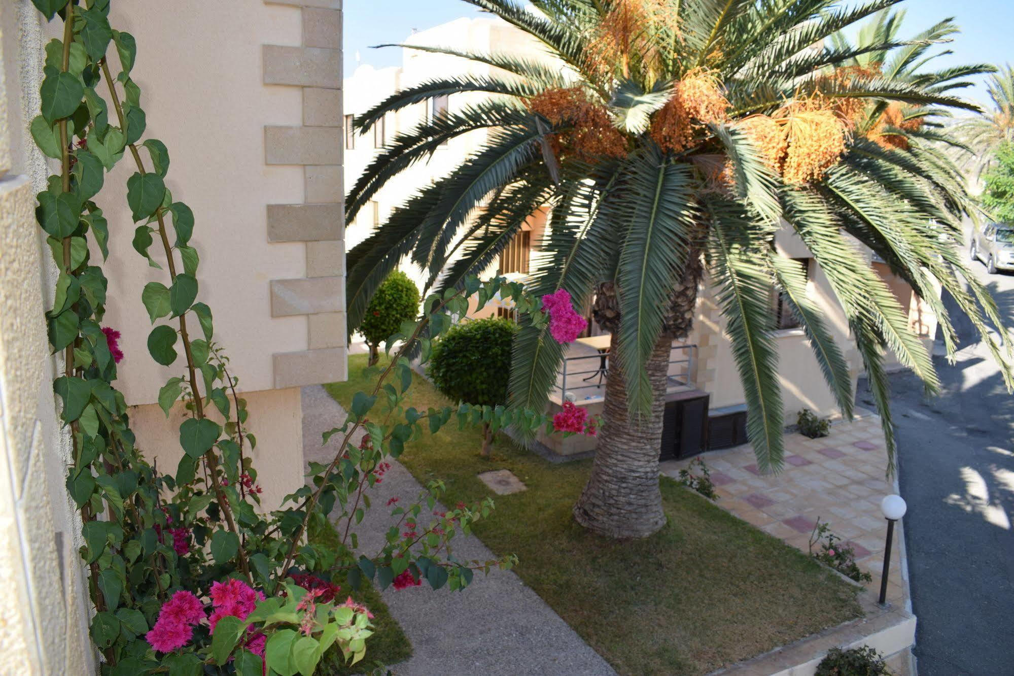 Paphos Dimma Seaside Houses מראה חיצוני תמונה