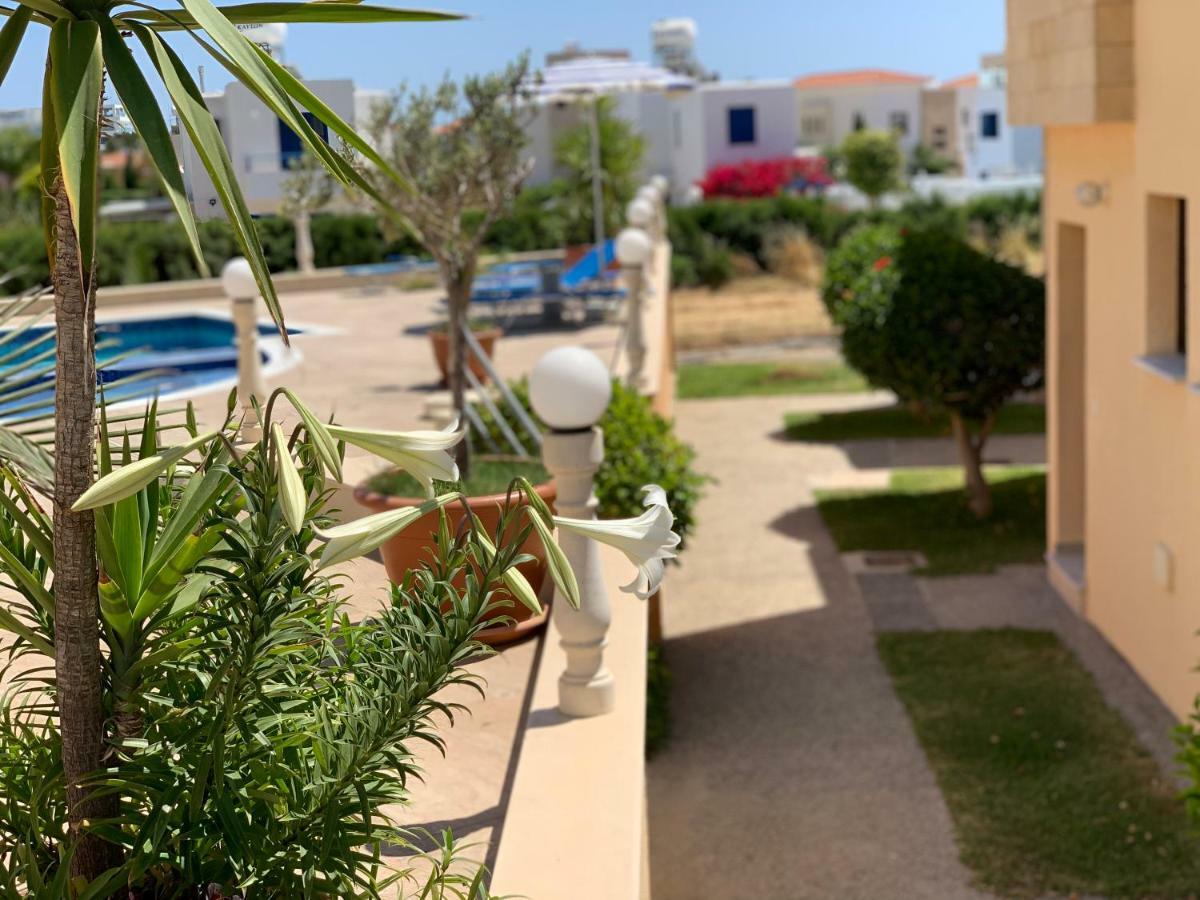 Paphos Dimma Seaside Houses מראה חיצוני תמונה